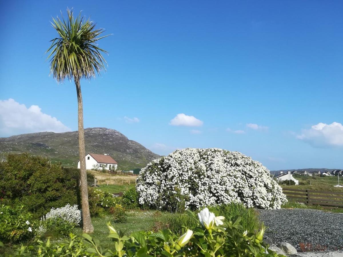 Bed and Breakfast Brae Lea House, Lochboisdale, South Uist. Outer Hebrides Exteriér fotografie